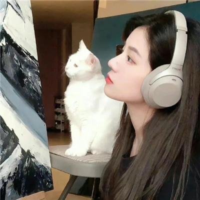 画家与贼